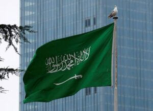 Nigeria, S/Arabia Partner on Tech, Startup Growth