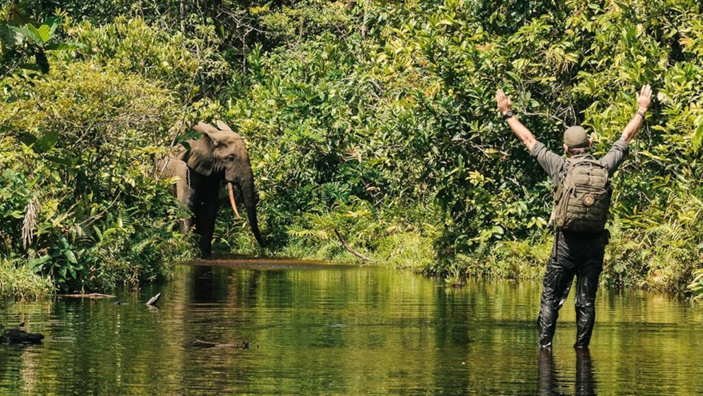 See ‘the lungs of Africa’ through the eyes of a photographer