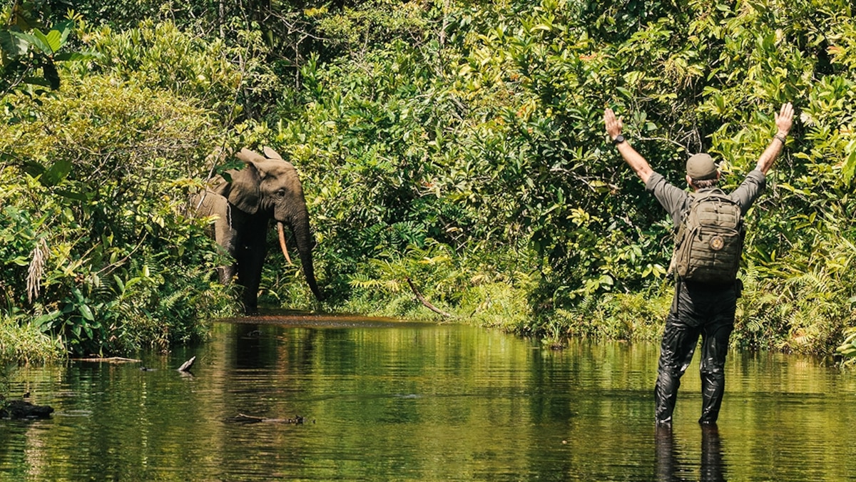 See ‘the lungs of Africa’ through the eyes of a photographer