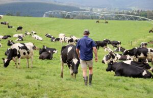 BIOSECURITY: Fears mount that provincial budget allocations are insufficient to combat foot-and-mouth disease outbreak
