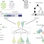 Improving metagenome binning by integrating intrinsic features and taxonomy