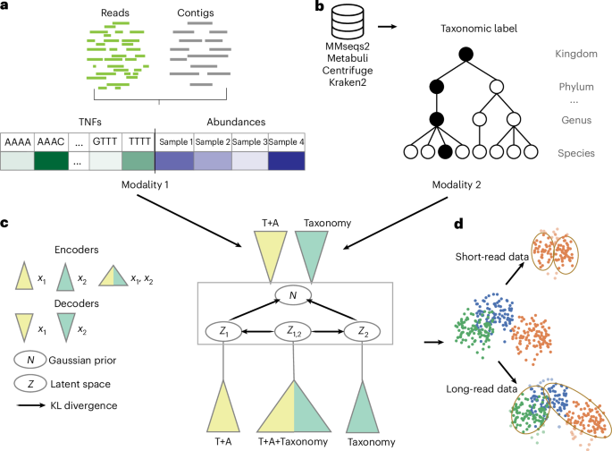 Improving metagenome binning by integrating intrinsic features and taxonomy