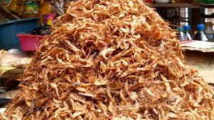 Crayfish Traders Blame Scarcity, Transport Costs For High Prices