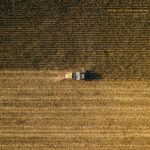 Wheat Holds onto Losses into Thursday’s Close