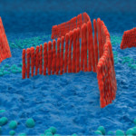 Historic FDA approval brings first gene therapy for genetic deafness