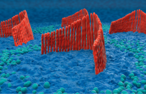 Historic FDA approval brings first gene therapy for genetic deafness