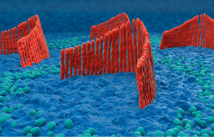 Historic FDA approval brings first gene therapy for genetic deafness