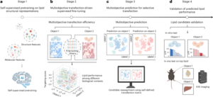 A multiobjective AI model for LNP engineering enhances tissue-selective mRNA delivery