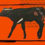 Americans ditched veal. What replaced it may be just as bad.