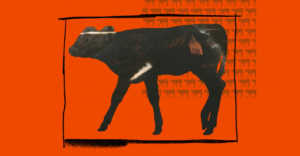 Americans ditched veal. What replaced it may be just as bad.