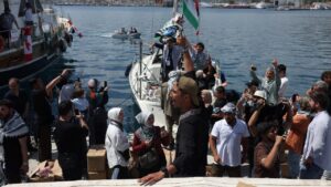 Gaza flotilla activist: Engaging with IDF was main goal, not humanitarian aid