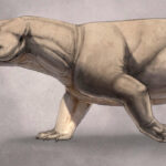 CT Scans Solve Decades-Old Mystery of Triassic Cynodont