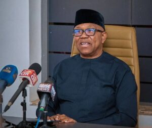 ‘Peter Obi Is Not Leader Who Wants To Fight For People’ – ADC Chieftain, Fabiyi