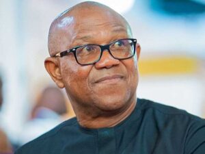 ADC Alliance Deepens as Obi Backs El-Rufai
