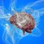 Statement highlights how brain health is shaped by lifetime mental, physical, environmental and lifestyle factors