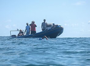 Teen Swimmer Announces Second Extreme South African Coast Swim to Pressure Government on Shark Protection