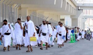 Egyptian medical mission provides 645 healthcare services to Hajj pilgrims