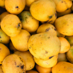 Dhenkanal farmers export 3 tonnes of Amrapali mangoes to London