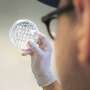 Making climate-neutral plastics and cosmetics using bacteria