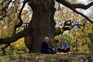 Suzanne Simard on the wood wide web, connectedness – and Avatar