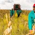 Top African Industries Poised to Lead the Continent’s Economy by 2030