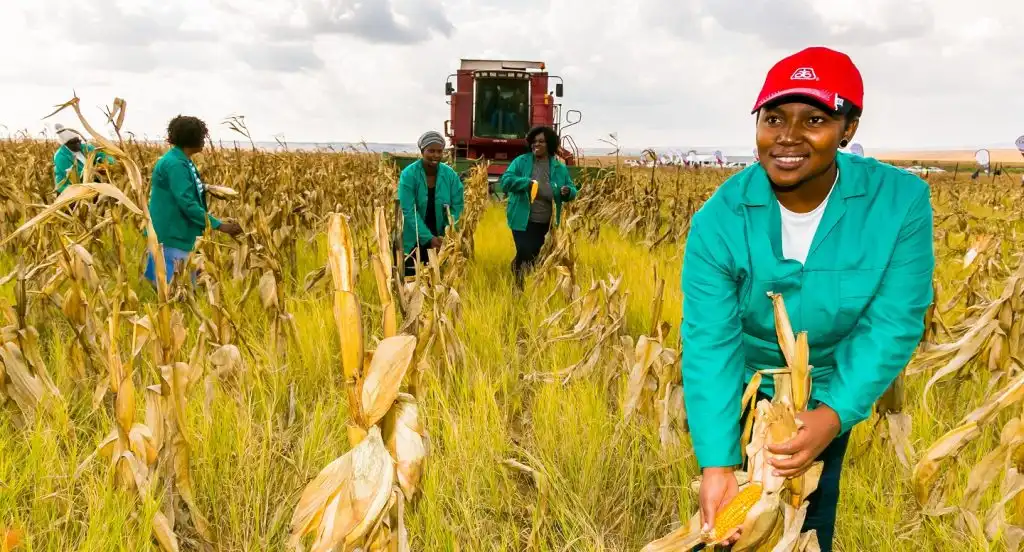 Top African Industries Poised to Lead the Continent’s Economy by 2030