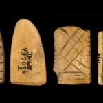 Ancient bone dice reveal 12,000-year history of gambling in America