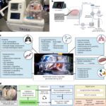 Digital twins of ex vivo human lungs enable accurate and personalized evaluation of therapeutic efficacy