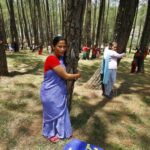 From the Himalayas to Newt Gingrich, the ‘tree-huggers’ prevail