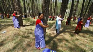 From the Himalayas to Newt Gingrich, the ‘tree-huggers’ prevail