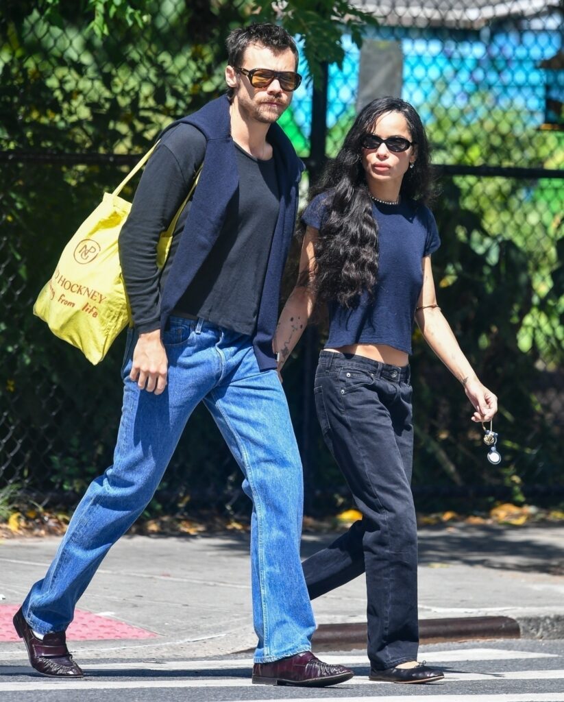 Baby fever could take over Harry Styles and Zoe Kravitz as popstar ‘really wants’ a kid: sources