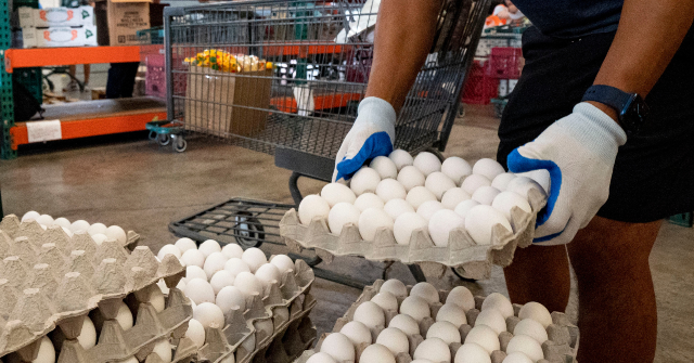 PHOTOS — U.S. Farmers Donate 6 Million Eggs During Easter and Passover Holidays: ‘Proud to Give Back’
