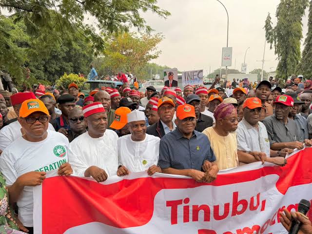 OPINION: Nigerian Opposition: What You Have To Do…