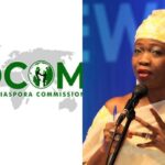 Forty Nigerians Deported From Mozambique As NIDCOM Urges Calm In Unfolding Events In South Africa