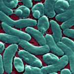 Flesh-eating bacteria devour man’s arm and leg in just three days
