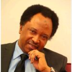 Shehu Sani Drops Bombshell on Trump Loyalty Among Supporters
