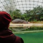 A specialised tour at the Berlin Zoo brings joy to people living with dementia , Lifestyle News