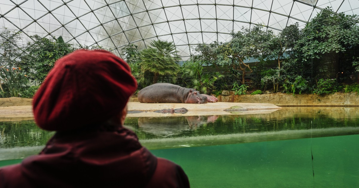 A specialised tour at the Berlin Zoo brings joy to people living with dementia , Lifestyle News