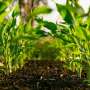 Locked-in food system slows Europe’s green shift, article warns