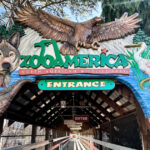 Toddler injured by wolf at Zoo America after crawling under a fence to enclosure
