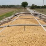 China agrees to purchase $17B in US agricultural products annually through 2028