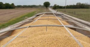 China agrees to purchase $17B in US agricultural products annually through 2028