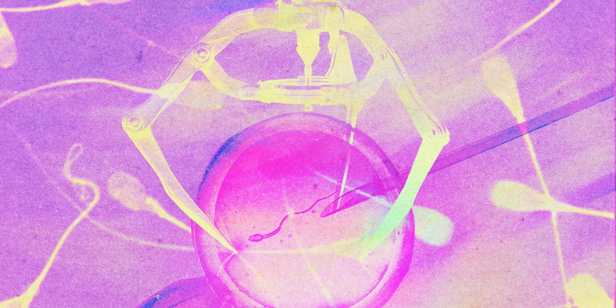 What’s next for IVF