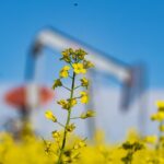 ‘We need potash’: Agriculture a key asset – and possible liability – for Canada in U.S. trade talks