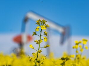 ‘We need potash’: Agriculture a key asset – and possible liability – for Canada in U.S. trade talks