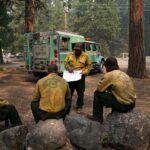 What Trump’s Reorganization of the Forest Service Means for Rural America