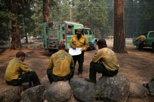 What Trump’s Reorganization of the Forest Service Means for Rural America