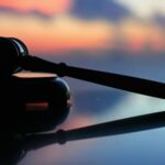 Court Victory for American Libraries, the Institute of Museum and Library Services