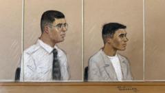 London stabbing of journalist was by men working for Iran, court told