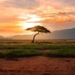 Kenya Drives Africa’s Tourism Growth With Economic and Sustainability Gains